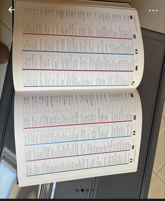 Dicionario multilingue