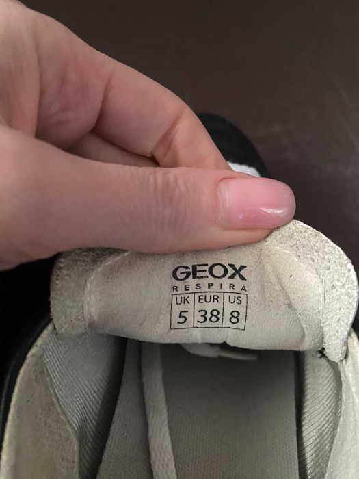 кросівки    Geox