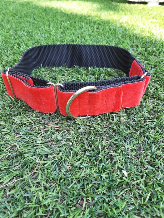 Coleira martingale veludo vermelha