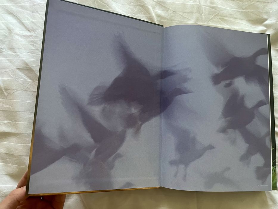 Łowiectwo Henryk Okarma, Andrzej Tomek