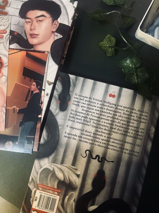 Livro: Incandecente vol. 1 e 2