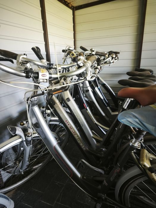 Pakiet rowerów ION Sparta Batavus 50 szt
