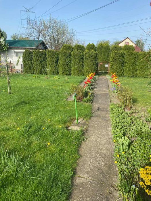 Sprzedam działkę  ROD