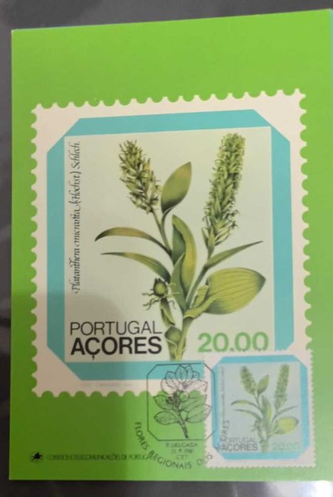 Postais Portugal Açores Flores Regionais