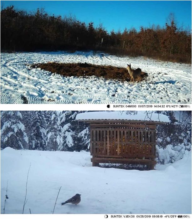 Camera de caça HC801G HC-801 3G MMS email camara envia foto telemovel