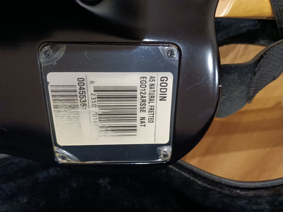 Godin A5 gitara basowa semi acoustic