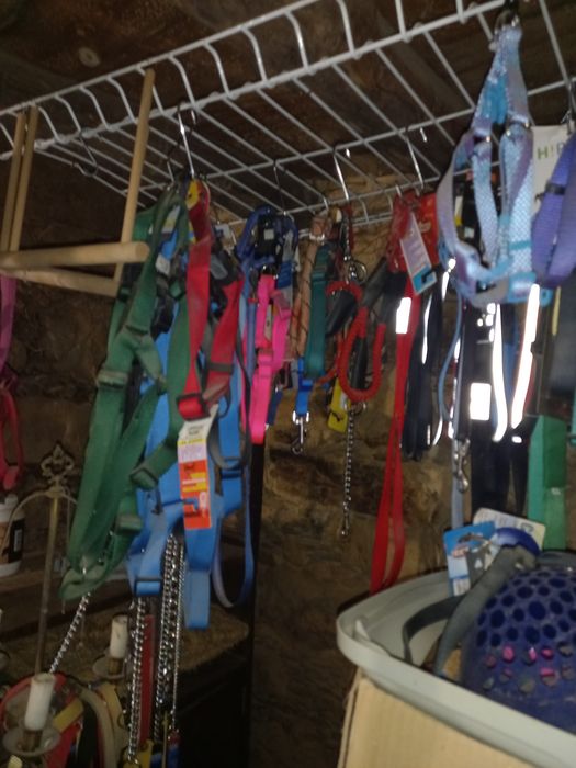 DESOCUPAR ( LER a descrição)Acessórios de animais