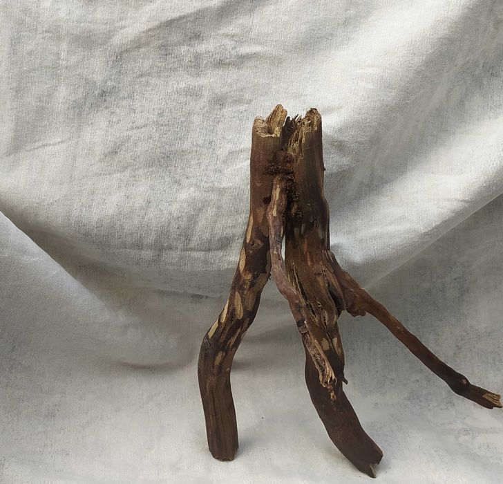 Korzeń do terrarium-21 cm