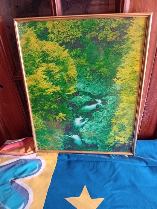 Quadro Decorativo