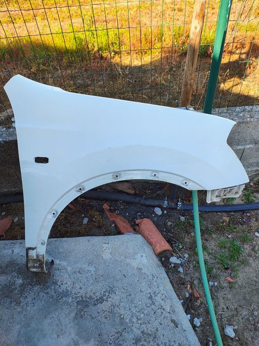 Guarda lamas Qashqai