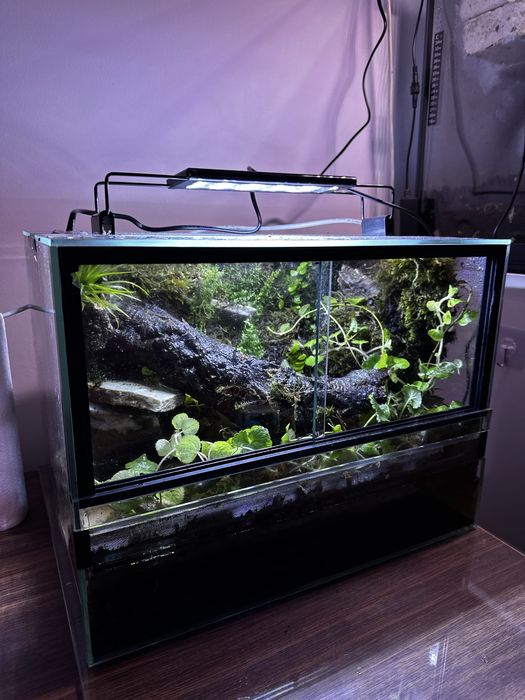 Terrarium tropikalne z źródełkiem 40x30x30