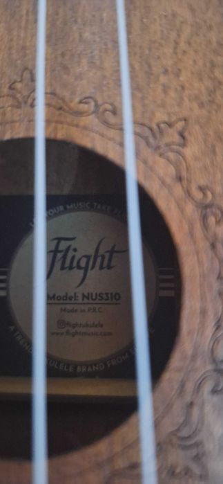 Ukulele Flight no NUS310