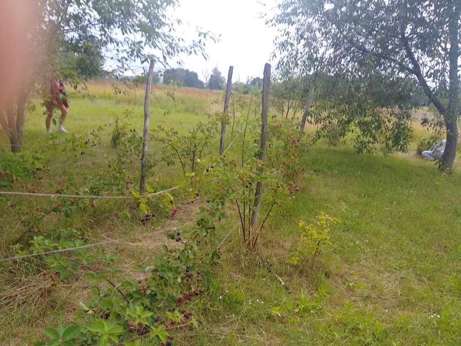 Продається будинок!!!