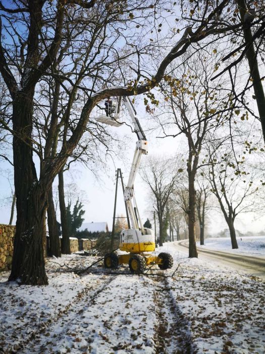 podnośnik haulotte spx16