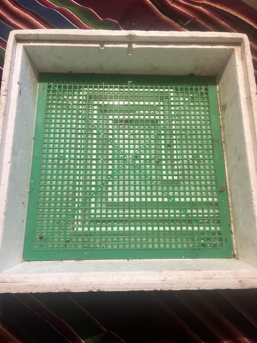 Інкубатор Квочка Мі 30-1е-12v