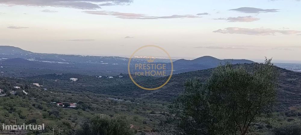 Terreno com ruina e ampla vista aberta da Picota até ao mar