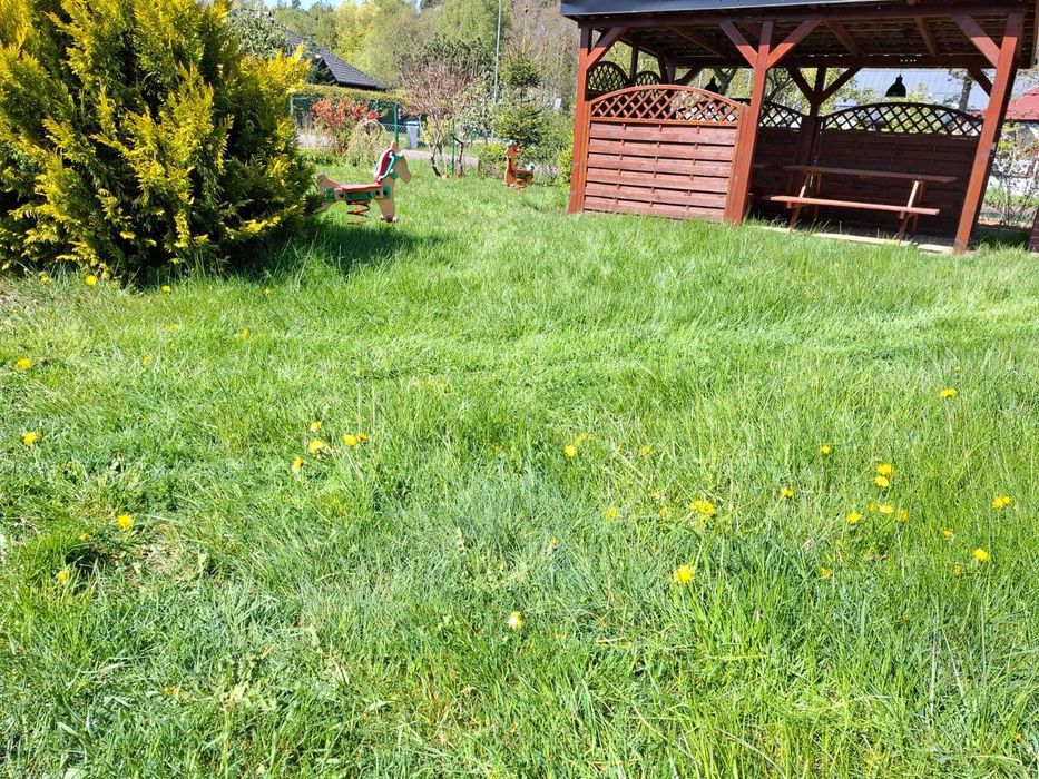 Urlop nad morzem
