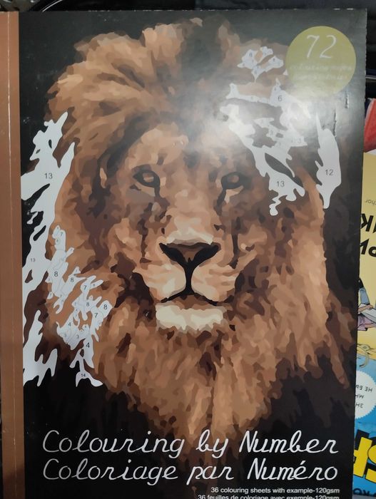 Книга розмальовка по номерам