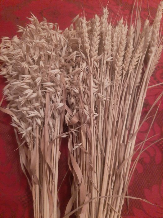 Букети пшениці і овес.