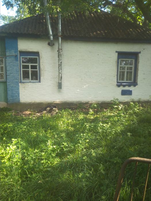 Продам будинок в селі Клепачі Полтавської обл Лубенського району
