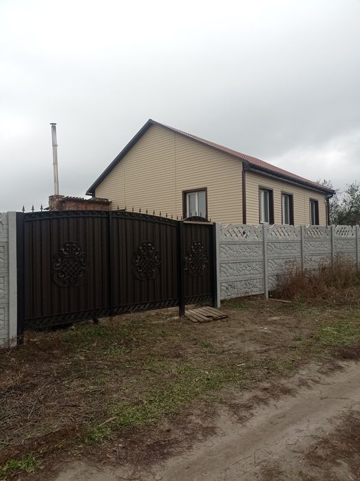 Новий будинок в передмісті Чернігова. Старий Білоус. Центр.