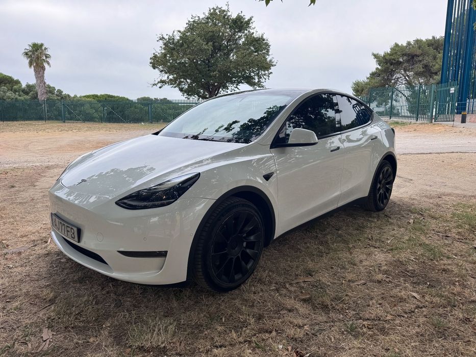 Tesla Model Y Long Range Tração Integral