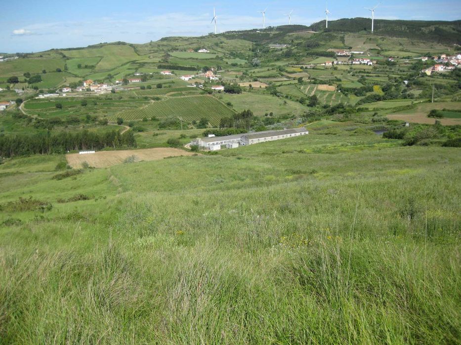 Terreno Rustico no Concelho de Sobral de Monte Agraço Santo Quintino