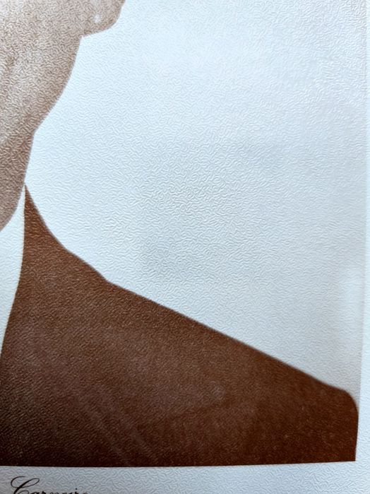 Estampa antiga do Dr. Sá Carneiro, Nova e de excelente qualidade