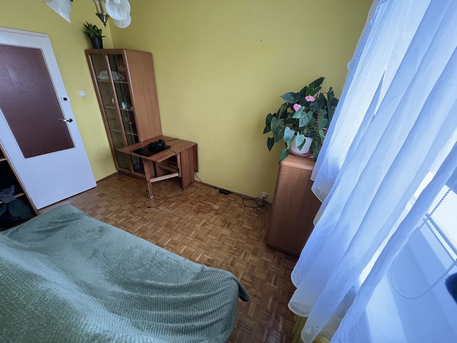 Zdjęcie 3