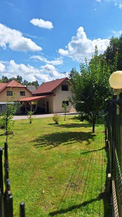 Domek Lesiówka do wynajęcia