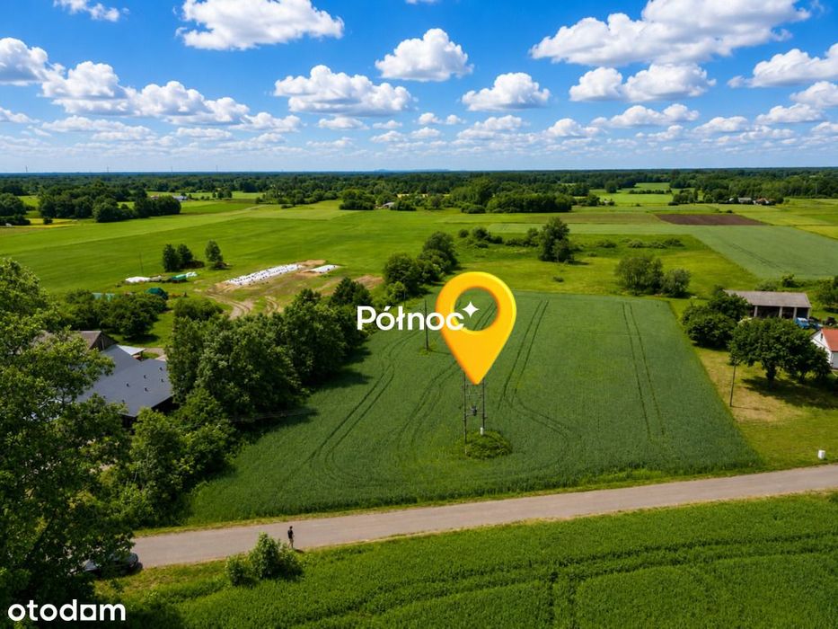 Działka w zielonej okolicy –koło Cycowa, 40 000 m² – pohled 3