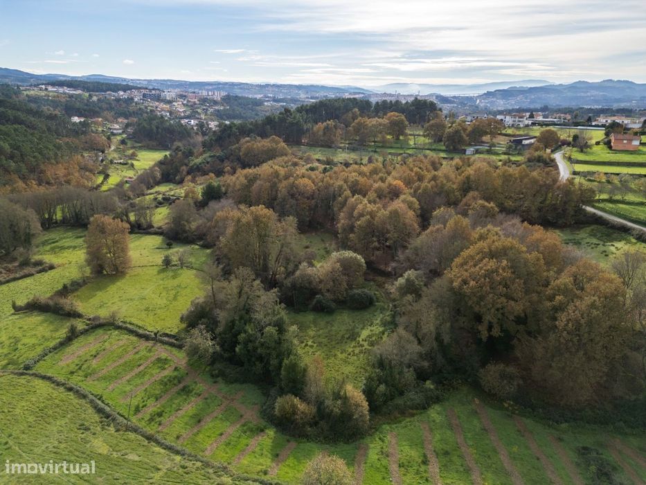 Terreno à beira Rio com 1.75 Ha em Borbelinha,