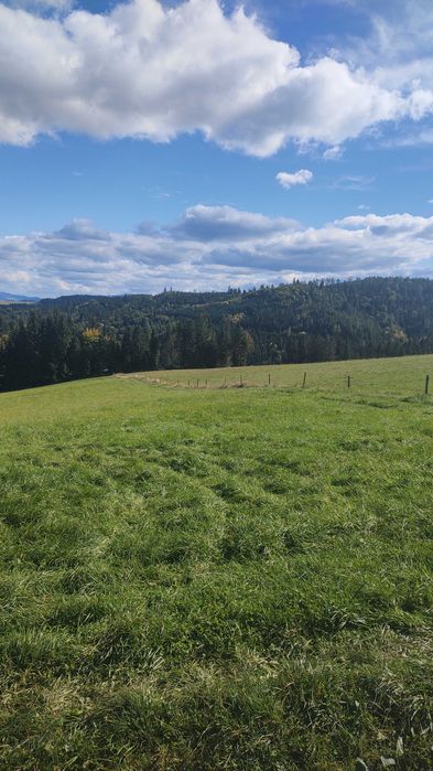 Działka budowlano/rolna