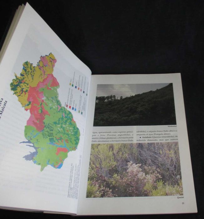 Livro Moinhos da Baságueda Lopes Marcelo