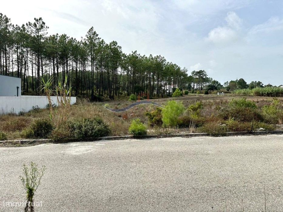 Lote de Terreno - Amor