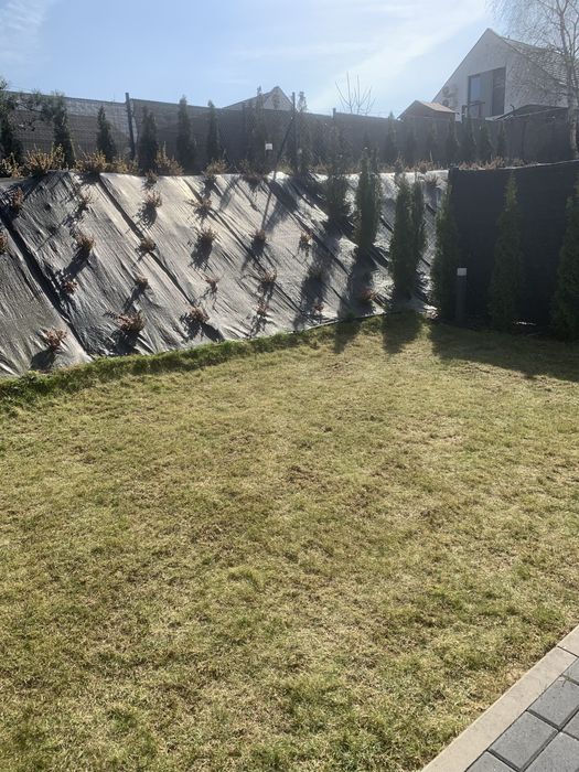 Wertykulacja, regeneracja trawników, aeracja z wykorkiem