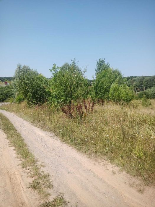 Продається земельна ділянка в Майдан-Чапельский