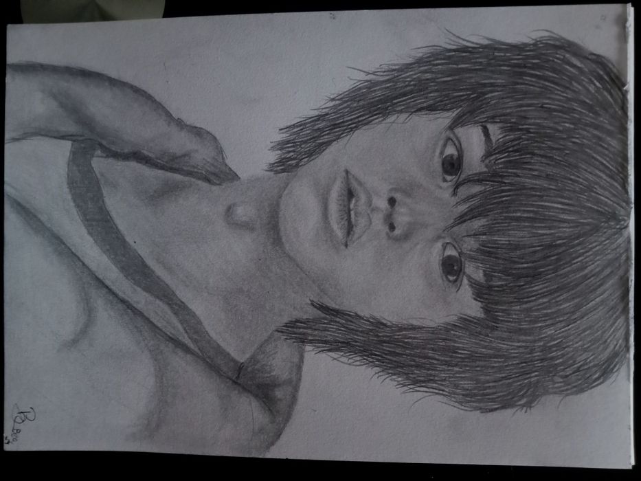 Desenho animais e retratos bebê/criança/adulto