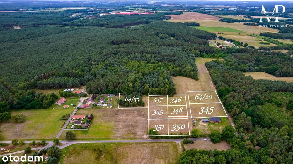 Pięknie położone działki | LAS | Domasławice | Okazja! 15-30 arów - Widok 4