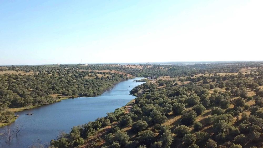 Herdade 12 ha Alentejo