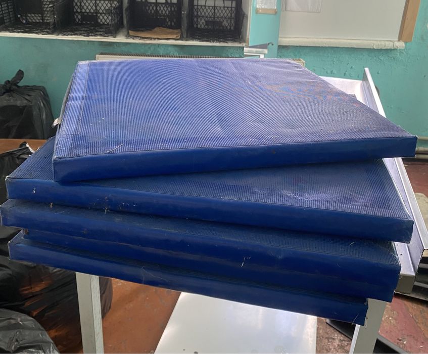 Дезинфікуючі килимки