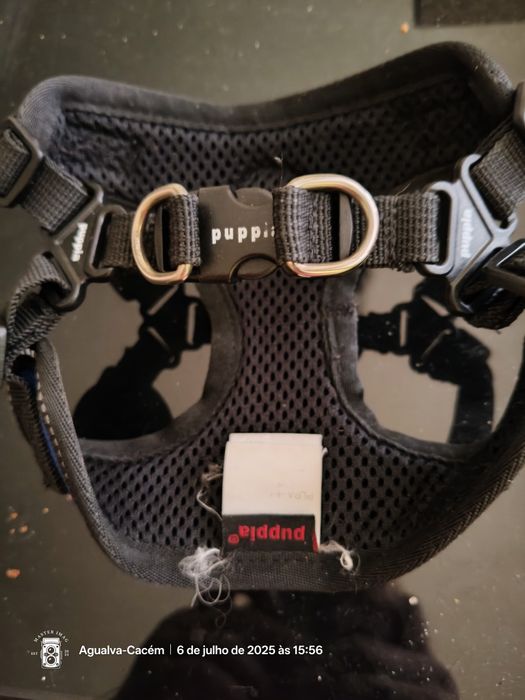 Peitoral azul para cães pequenos