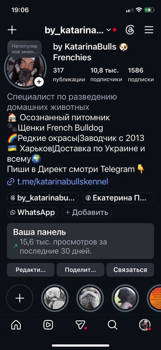 Мини Малиш  бульдожик