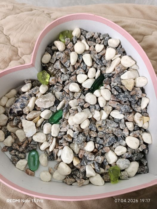 Акваріум для черепах