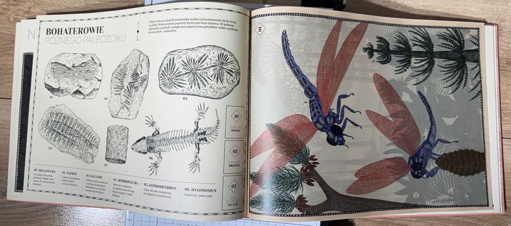 Ziemia. Żywa planeta – interaktywna książka jak nowa