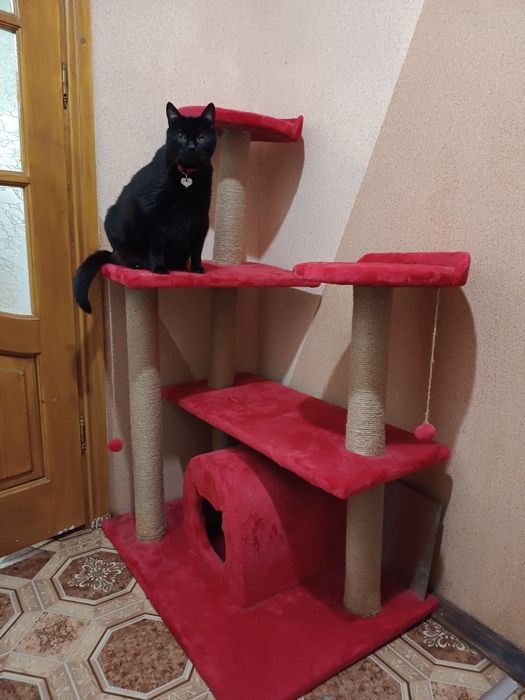 Когтеточка. Кошачий дом. Комплекс для котов.