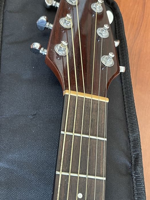 Guitarra Breedlove c250SBe