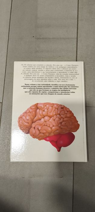 Livro era uma vez o corpo humano Cérebro