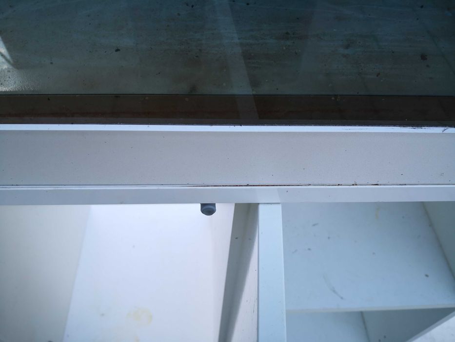 Zrób terrarium z akwarium