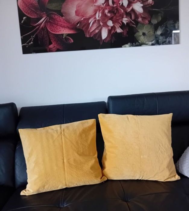 Ikea Sanela Aksamitna poszewka dekoracyjna na poduszkę 50x50